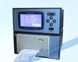 ZYW203RP帶打印無紙記錄儀
