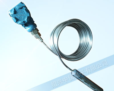 ZYK24K鎧裝投入式液位計